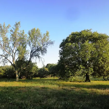 Les Olives Uzès