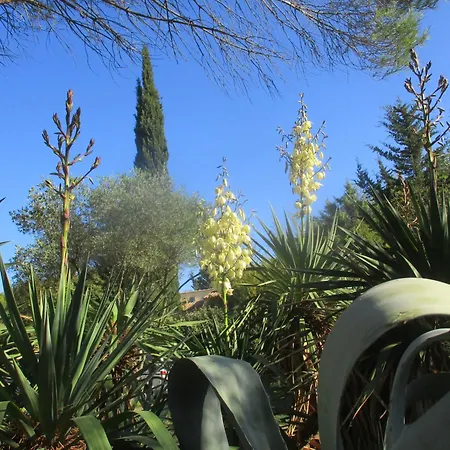 Les Olives Uzès