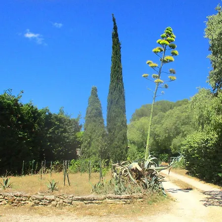 Les Olives Apartment Uzes
